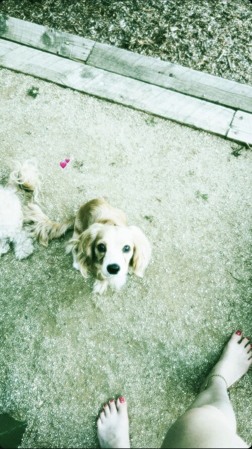 08B96A35 F4DF 4675 8DE7 D08EAAC32B56de0b4338eb042ff9