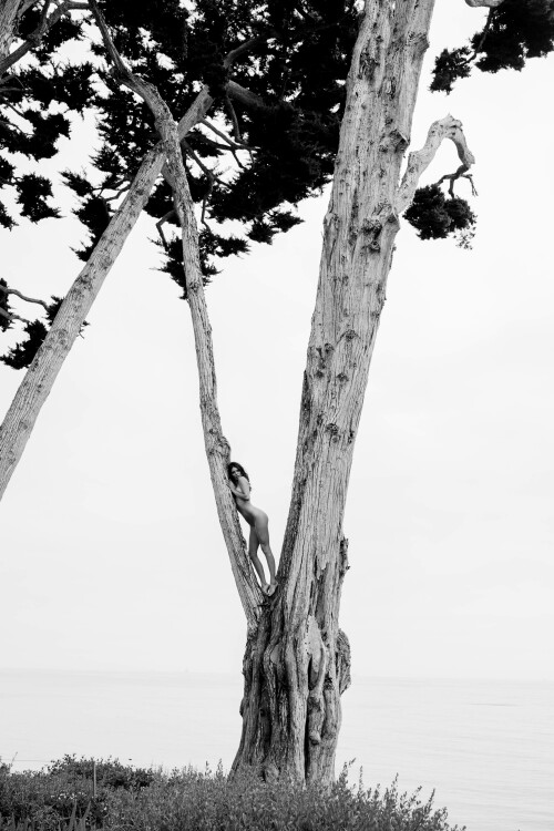 0BF92237 2DC9 4DC4 AD82 1C444EE20D27