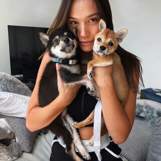 0ErWrpr2ea83b0d6191a239