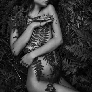 0aa5768fdf4870e33d586bc0