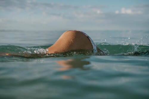 0c15dd a9c4974693f74b8283c91bcbd48fb134mv2e58c77c0b4e41b13