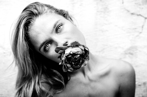 0e7e4f528441307c0dae042e6ff9b4d