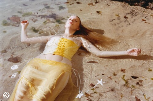 1 4 8d1ee77b e870 4aef a5aa 0497234d2bf4 2592x254a369082e34893