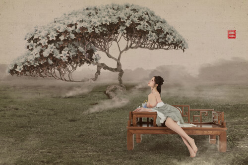 1 52732e2900d03bc4a7