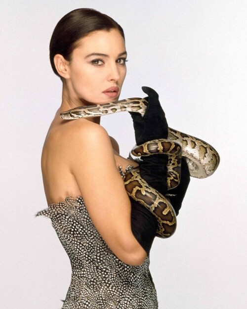 1000000053fdc27fb076698f23