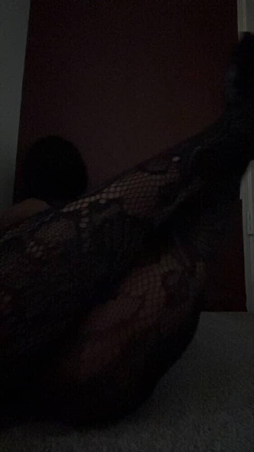 1000000176f72e3d50ad8f3603