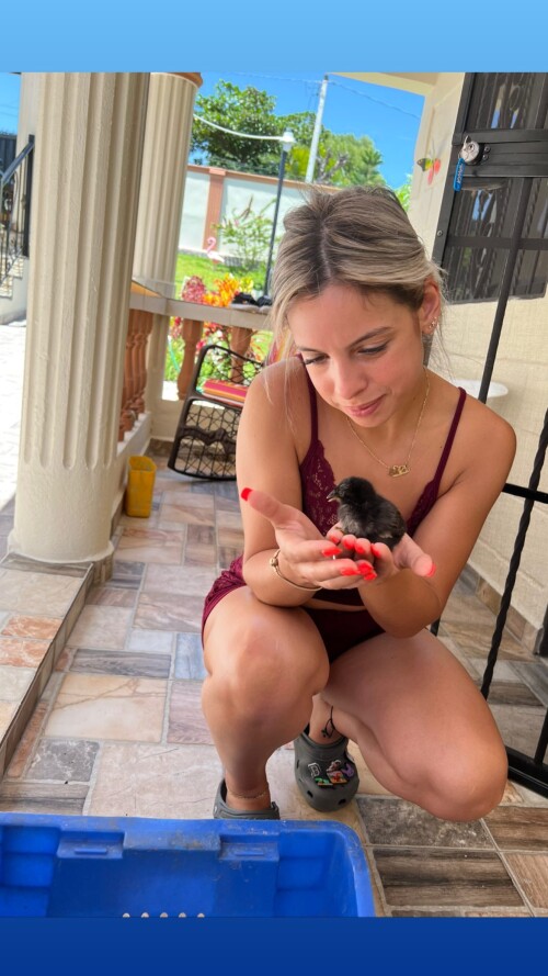 100000111920c239c983da2341