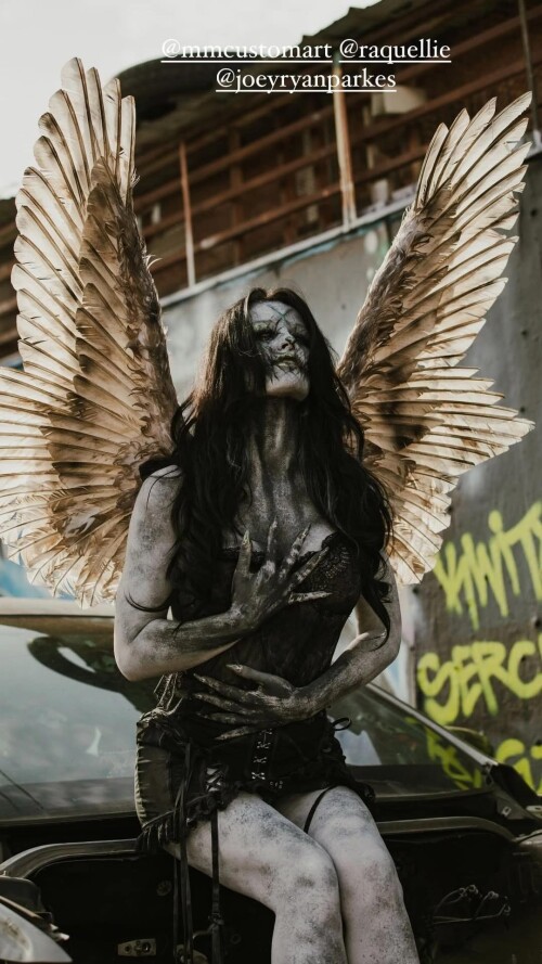 10000011241b42bb779b702b3e