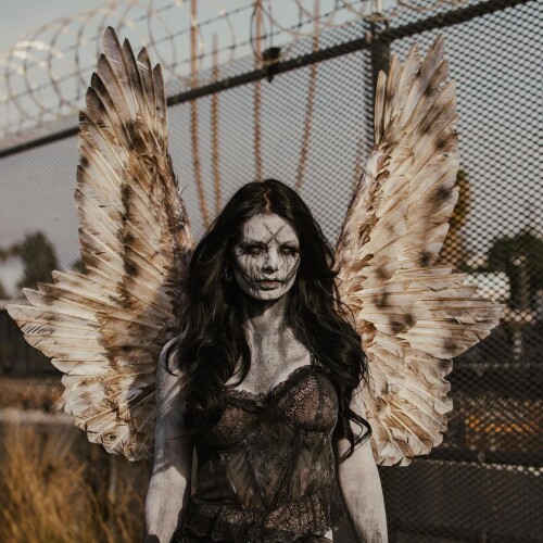 1000001134bbcac52aa401ee5a