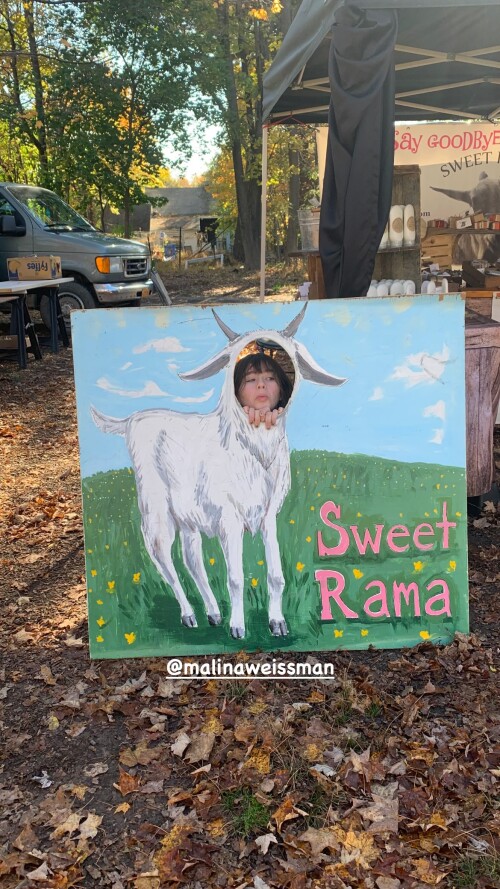 100000122087cc2ea753301b5a