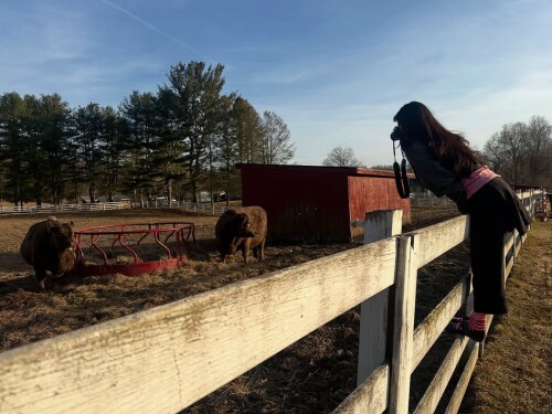 1000001241c5aacc3dee4e4ddb