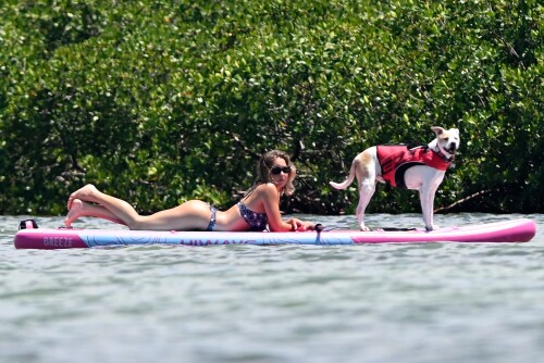 100000187966a745dac3b001aa