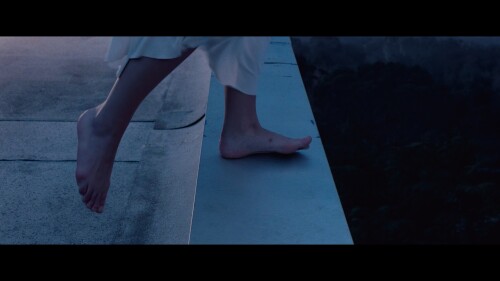 1000001910780c2adb31f82f7f