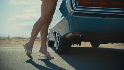 10000019123627e36d59256bd3