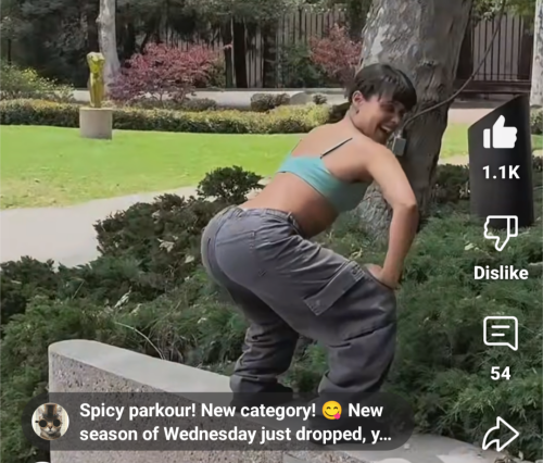 10000023851427c4584929a9f3