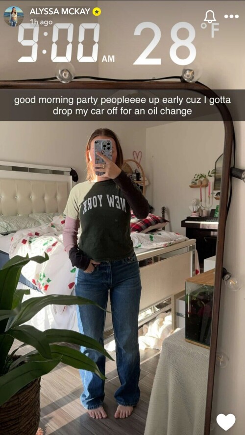 1000002747aedafd1d86ec3f99