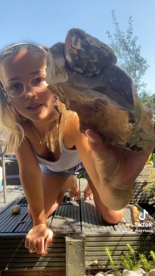 10000034372af790fc32f0d93d