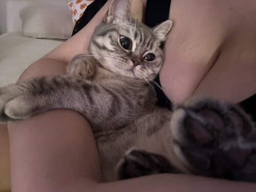 1000003646b32ab23d51c7963d