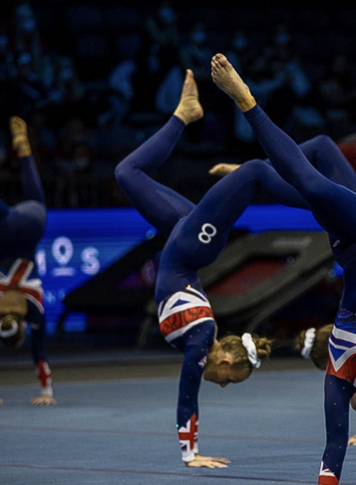 1000003732932099e1d2bfd532