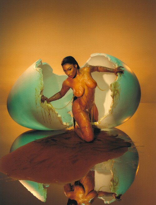 1000004481ede66643a16a3cfb