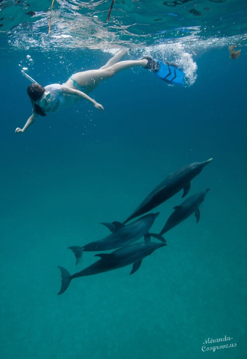 1000004517e47d8cb2022448ad