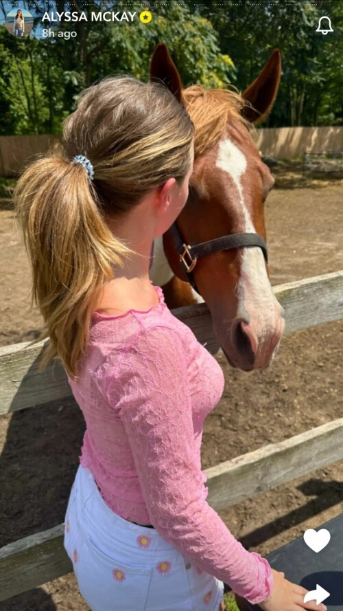 1000005113c00d2e907e61e537