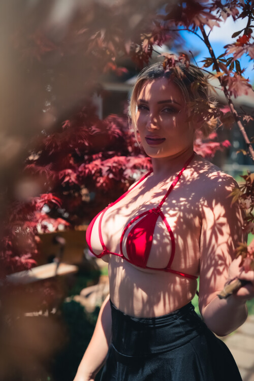 1000005647c99cc1840587ab84