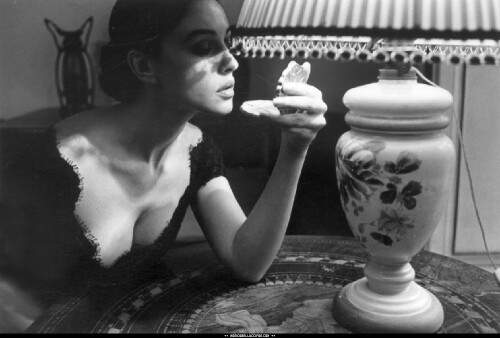 1000005650d3a21fc9130978ce