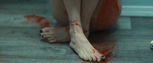 1000007093e64c473da31537aa