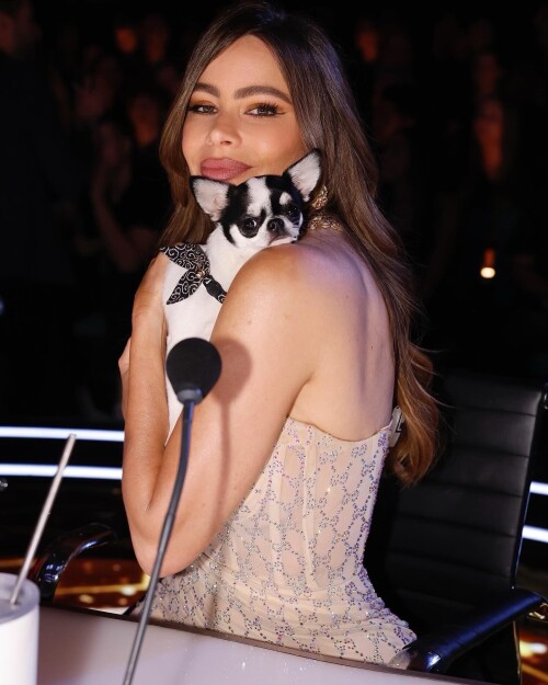 10000083175c3df138c70b6ece