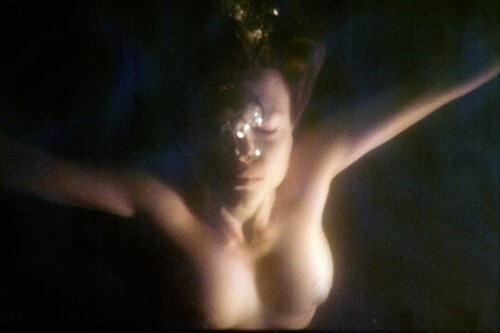 1000009820221653d040313601