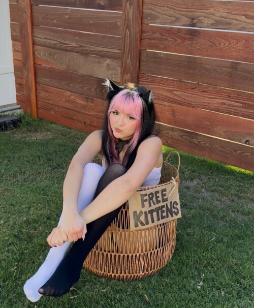 1000012011d938165b7f606745