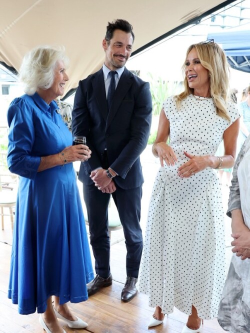 100001415152ff6f284e25cfa8