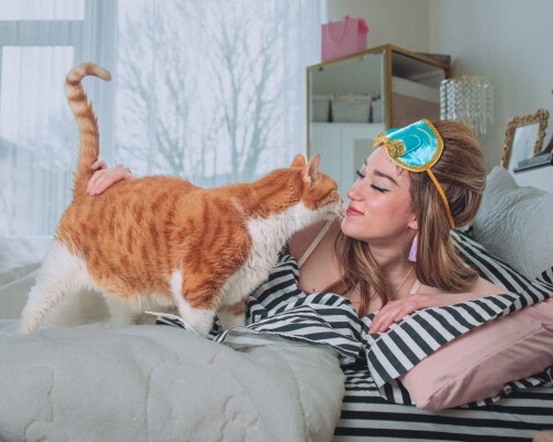 10000142383a492dafc649dbd3