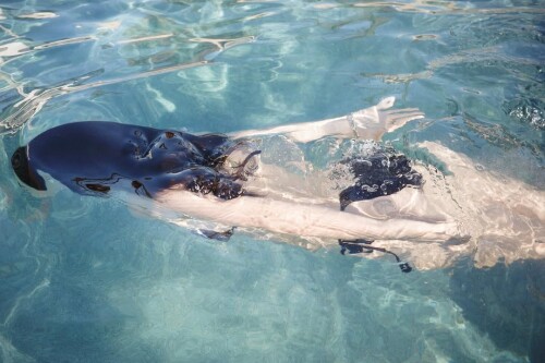 1000015460a405e00cec38cf47