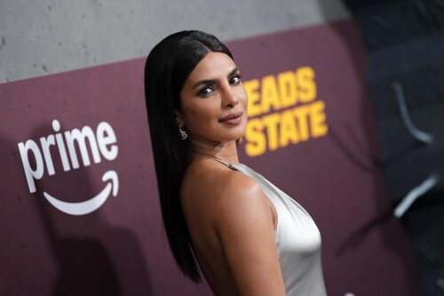 1000015486a1133b4bc02fef10