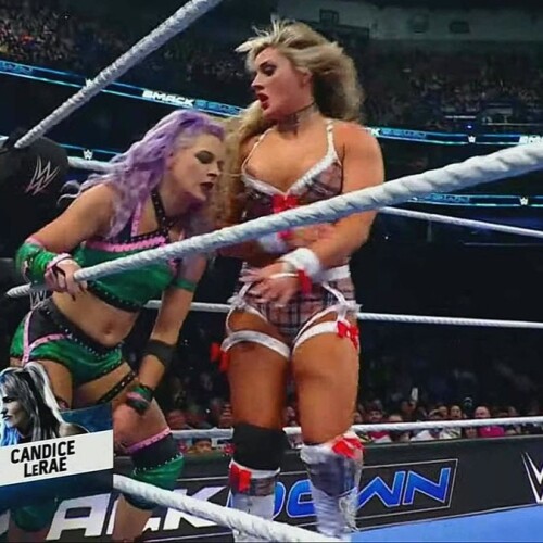 1000016113c3bc6254c04b76da