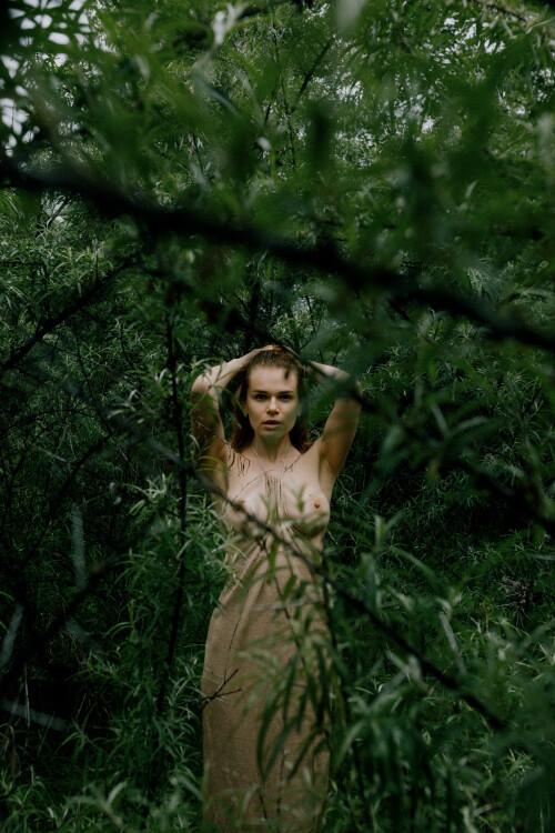 1000016477099738e806712dbe