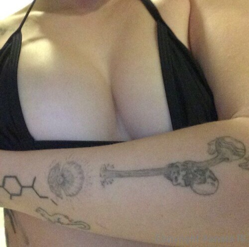 1000017399a226bae3fb033744