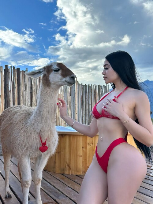 1000017509880f633d227a9606