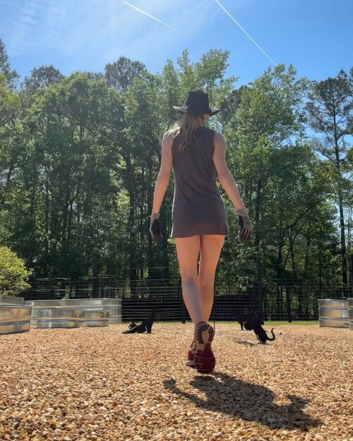 1000018210f3b0f026e06c3627