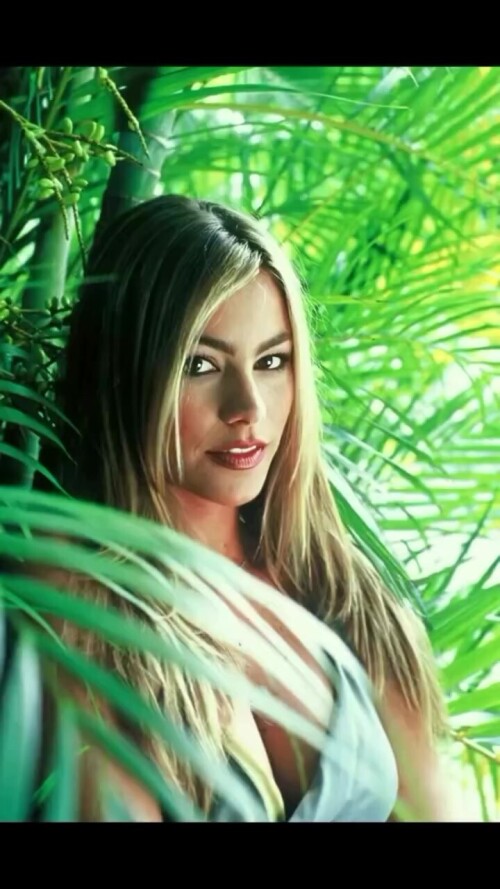 1000019197486da1f8d02b90c8