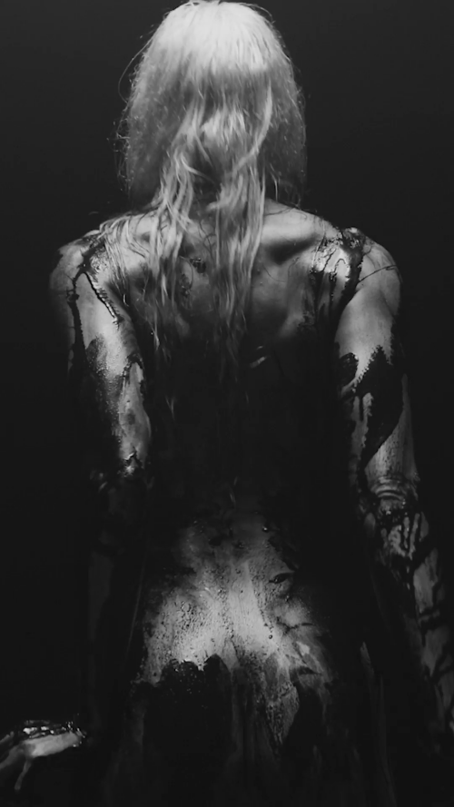 10000194446d66801cbc54cefa