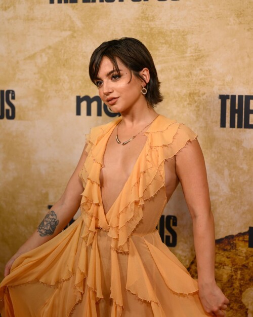 10000208668d54679eb70f55ac