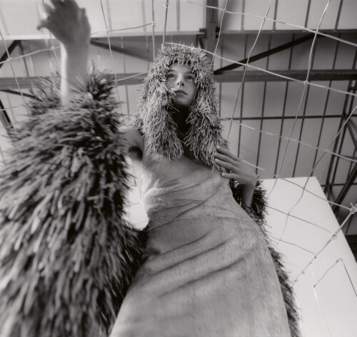 10000214080dec992e6526790e