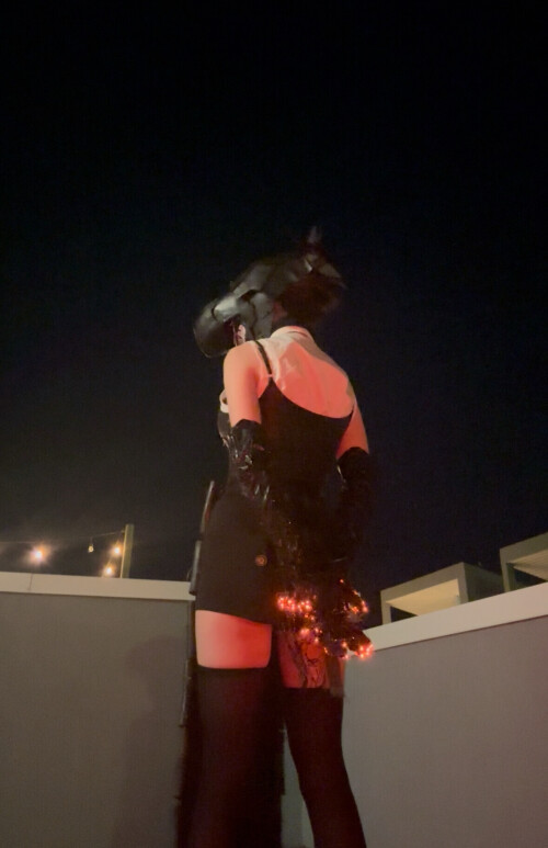 1000021623b52e61ac11fb94bd