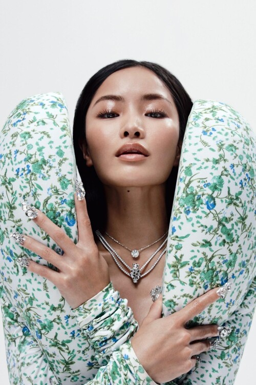 1000022719cdd182fec8d7c221