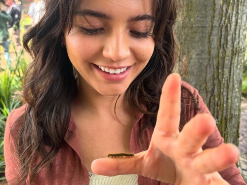 1000024825584a647ede465301