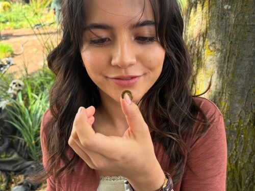 10000248269e52d8760d8962b0