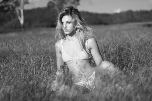 10000251577e534eac47103c92